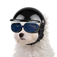 Аксессуары для мотоциклетного защитного шлема для собак и кошек