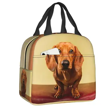 Милая собака породы такса, изолированная сумка для ланча для работы, школы, барсук, сосиска, Герметичный термоохладитель, коробка для бенто для женщин и детей