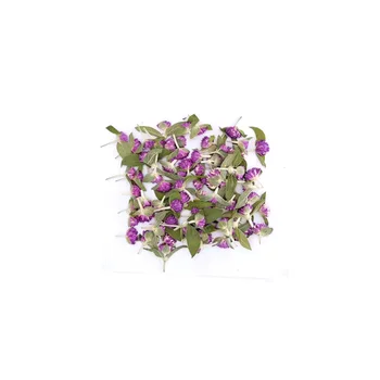 Новый консервированный сушеный цветок фиолетовой гомфрены глобозы для форм из эпоксидной смолы 